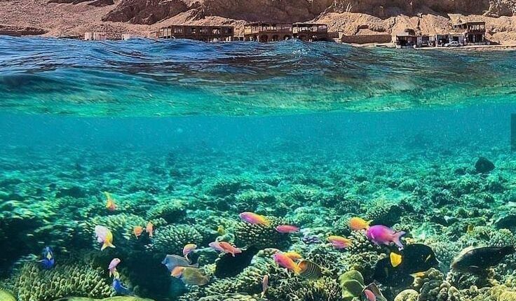 فى اليوم العالمى للسياحة.. الحكايات التاريخية تصنع سياحة مصر - الوان اف ام