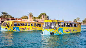 أول أتوبيس برمائي في مصر يبدأ العمل مطلع ديسمبر.. تجربة سياحية فريدة - الوان اف ام