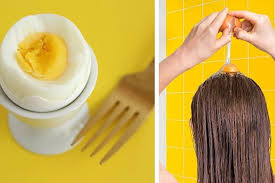 فوائد البيض للشعر المتساقط وماسك سهل التحضير- الوان اف ام