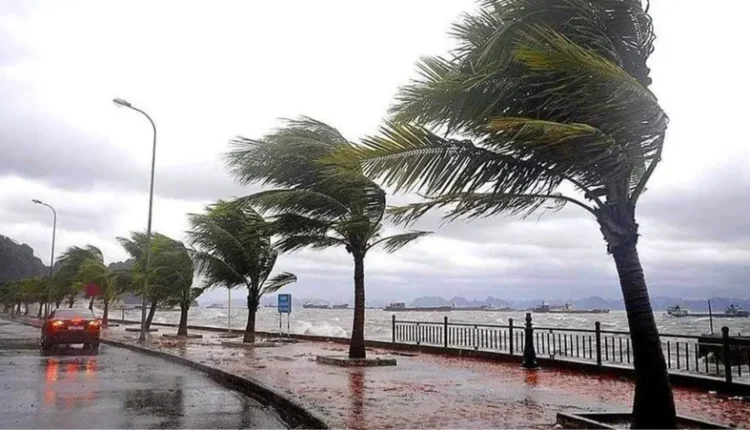 حالاة الطقس اليوم.. أمطار خفيفة في القاهرة الكبرى وعزيرة على السواحل - الوان اف ام