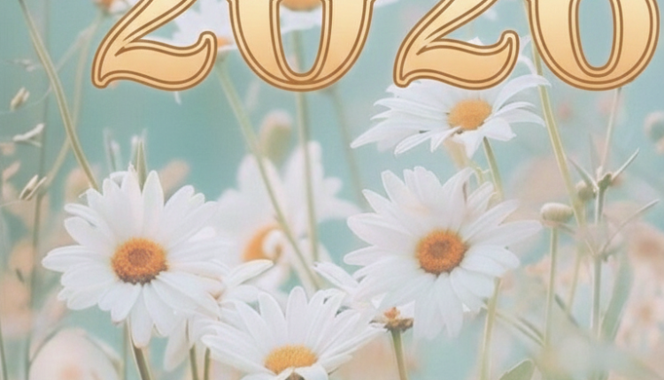 صور تهنئة رأس السنة 2026 مكتوب عليها عبارات حديثة.. بداية مشرقة للجميع- الوان اف ام