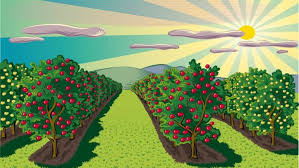 قصة أصحاب الجنة للأطفال - الوان اف ام