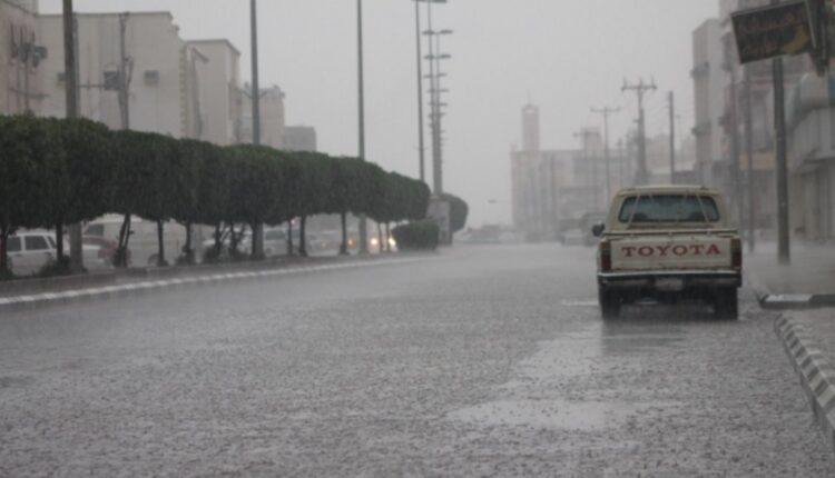 الطقس اليوم 21 يناير 2026 ارتفاع بالحرارة وشبورة -الوان اف ام