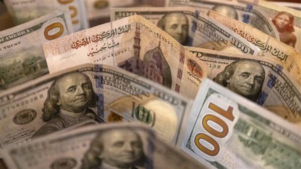 سعر الدولار في مصر اليوم الخميس 22 يناير 2026 داخل البنوك - الوان اف ام